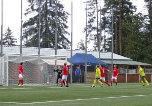 Fuballdorfmeisterschaft 2014
