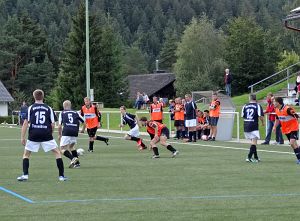 Fuballdorfmeisterschaft 2014
