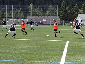 Fuballdorfmeisterschaft 2014
