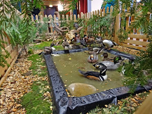 Geflgelausstellung