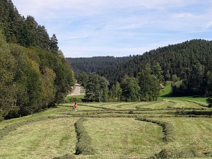 Herbst in Tennenbronn
