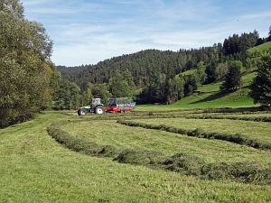 Herbst in Tennenbronn
