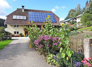 Herbst in Tennenbronn