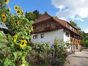 Herbst in Tennenbronn