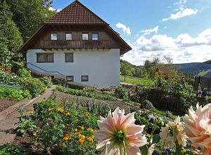 Herbst in Tennenbronn