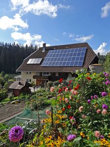 Herbst in Tennenbronn