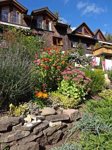 Herbst in Tennenbronn