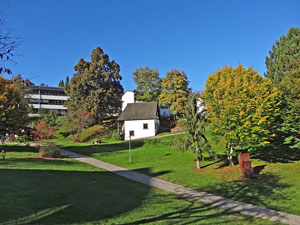 Herbst in Tennenbronn