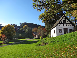 Herbst in Tennenbronn