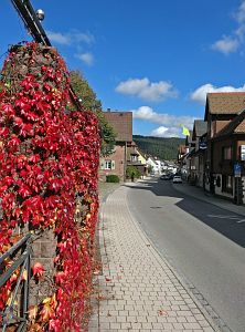 Herbst in Tennenbronn