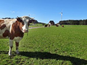 Warmes Herbstwochenende - Heute nun Schnee