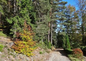 Warmes Herbstwochenende - Heute nun Schnee