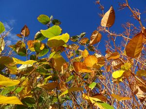 Warmes Herbstwochenende - Heute nun Schnee