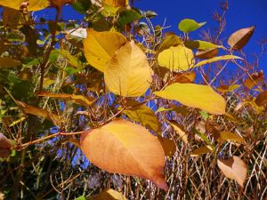 Warmes Herbstwochenende - Heute nun Schnee
