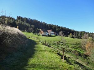 Warmes Herbstwochenende - Heute nun Schnee