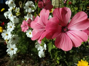 Warmes Herbstwochenende - Heute nun Schnee