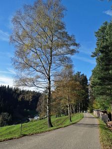 Warmes Herbstwochenende - Heute nun Schnee