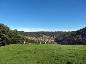 Warmes Herbstwochenende - Heute nun Schnee