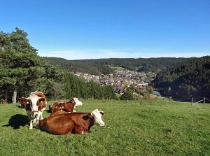Warmes Herbstwochenende - Heute nun Schnee