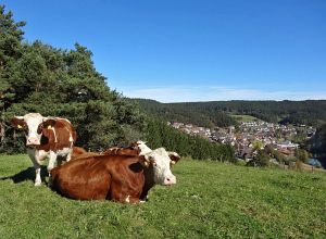 Warmes Herbstwochenende - Heute nun Schnee