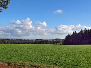 Herrlich klares Herbstwochenende