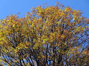 Herrlich klares Herbstwochenende
