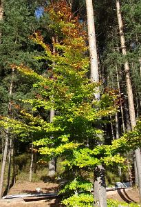Herrlich klares Herbstwochenende