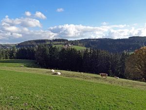 Herrlich klares Herbstwochenende