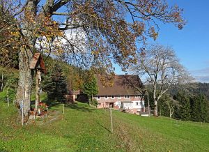 Herrlich klares Herbstwochenende