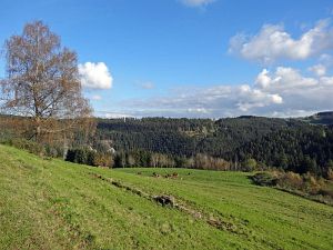 Herrlich klares Herbstwochenende