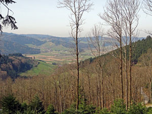Im Kinzigtal auf dem Wenk- und Tlerweg