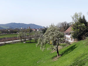 Im Kinzigtal auf dem Wenk- und Tlerweg