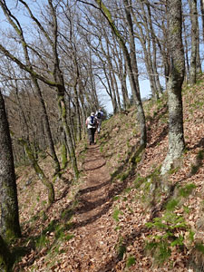Im Kinzigtal auf dem Wenk- und Tlerweg