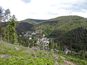 Lauterbacher Wandersteig