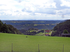 Lauterbacher Wandersteig