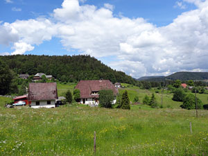 Lauterbacher Wandersteig