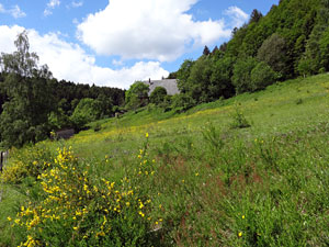 Lauterbacher Wandersteig