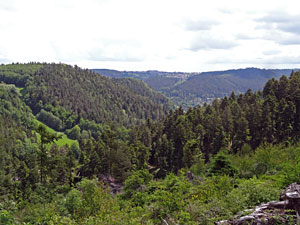 Lauterbacher Wandersteig