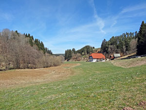 Erste Frhlingsboten auf der Leihwies