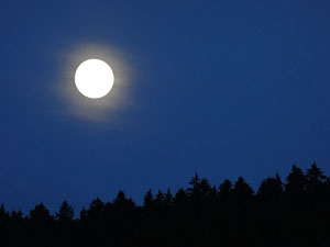 Vollmond in Tennenbronn