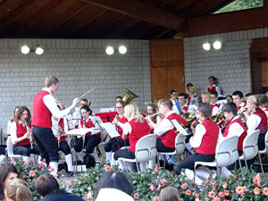 Dobelhock Musikverein Frohsinn