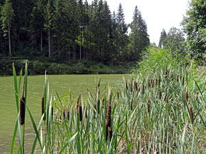 Linachtalsperre