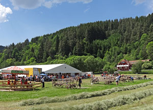 Waldfest Unterschiltach - Heuwagen aufbauen