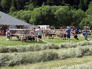 Waldfest Unterschiltach - Heuwagen aufbauen
