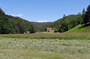 Waldfest Unterschiltach - Heuwagen aufbauen