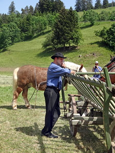 Waldfest Unterschiltach - Heuwagen laden