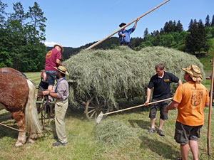 Waldfest Unterschiltach - Heuwagen laden Waldfest Unterschiltach - Heuwagen laden