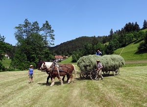 Waldfest Unterschiltach - Heuwagen laden