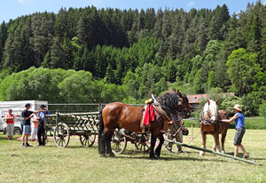 Waldfest Unterschiltach - Heuwagen laden