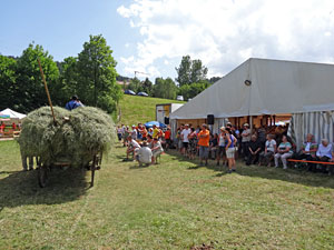 Waldfest Unterschiltach - Heuwagen laden